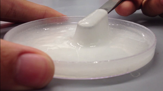 Amazing Crab Goo May Save Your Life One Day